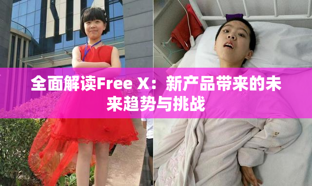 全面解读Free X：新产品带来的未来趋势与挑战