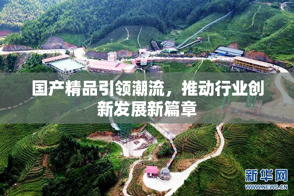 国产精品引领潮流，推动行业创新发展新篇章