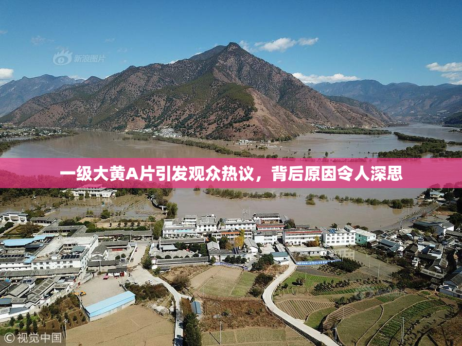 一级大黄A片引发观众热议，背后原因令人深思