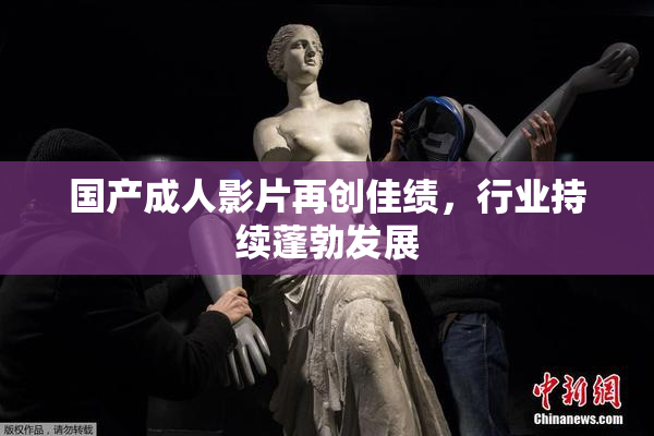 国产成人影片再创佳绩，行业持续蓬勃发展