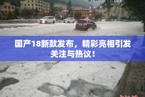 国产18新款发布，精彩亮相引发关注与热议！