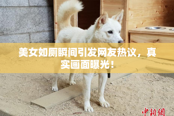 美女如厕瞬间引发网友热议，真实画面曝光！