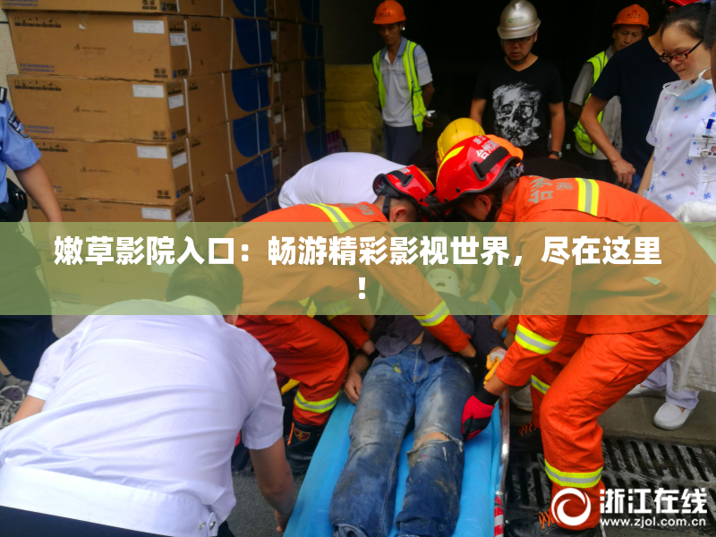 嫩草影院入口：畅游精彩影视世界，尽在这里！