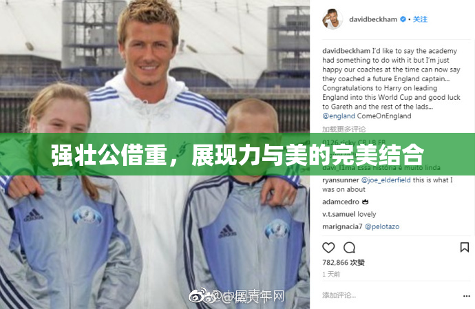 强壮公借重，展现力与美的完美结合