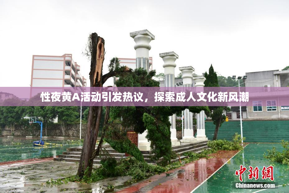 性夜黄A活动引发热议，探索成人文化新风潮