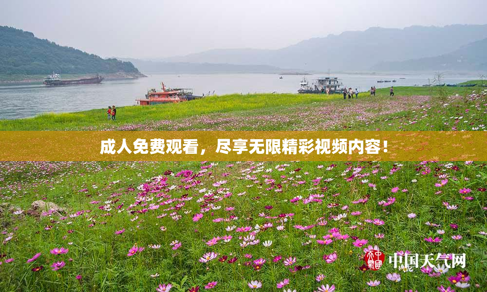 成人免费观看，尽享无限精彩视频内容！