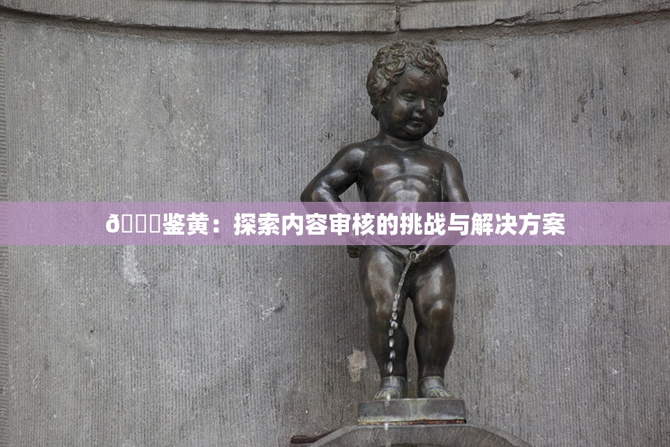 🔞鉴黄：探索内容审核的挑战与解决方案