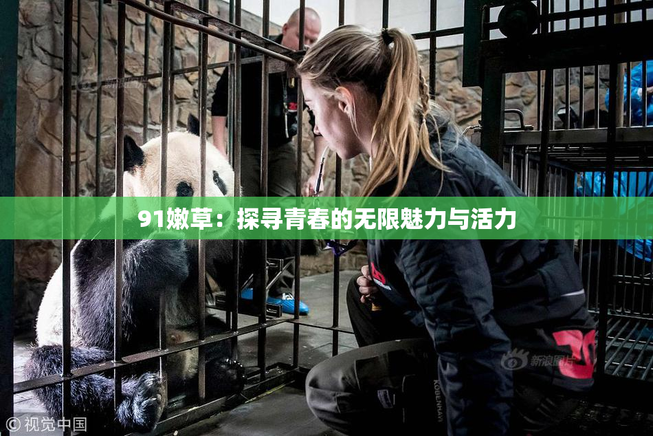 91嫩草：探寻青春的无限魅力与活力