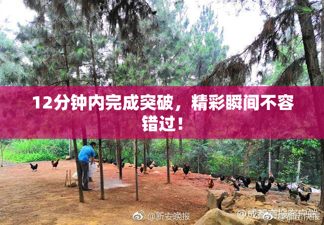 12分钟内完成突破，精彩瞬间不容错过！