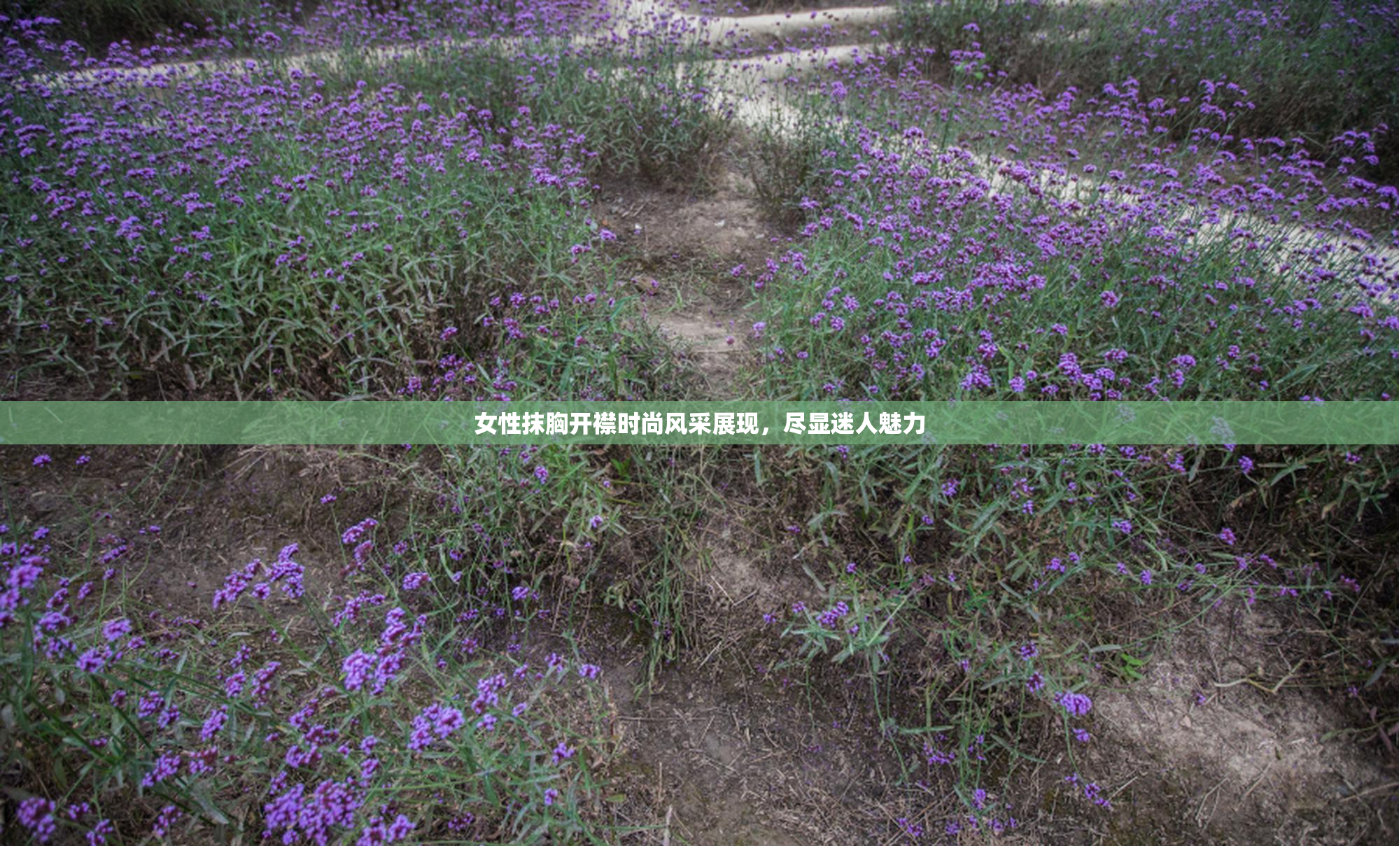 女性抹胸开襟时尚风采展现，尽显迷人魅力