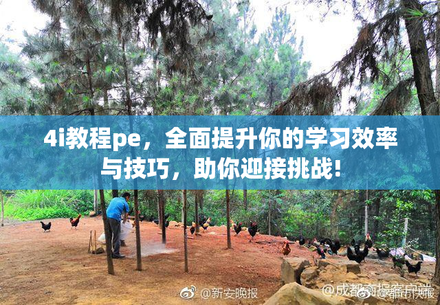 4i教程pe，全面提升你的学习效率与技巧，助你迎接挑战!