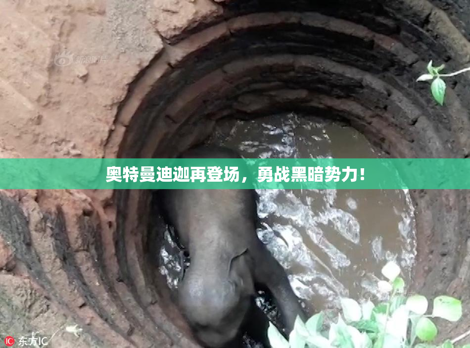 奥特曼迪迦再登场，勇战黑暗势力！