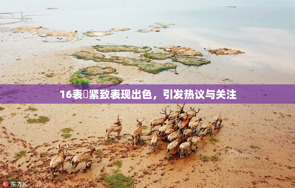 16表妺紧致表现出色，引发热议与关注