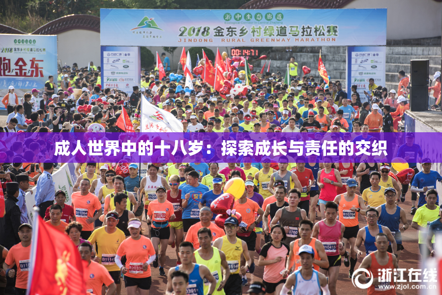 成人世界中的十八岁：探索成长与责任的交织
