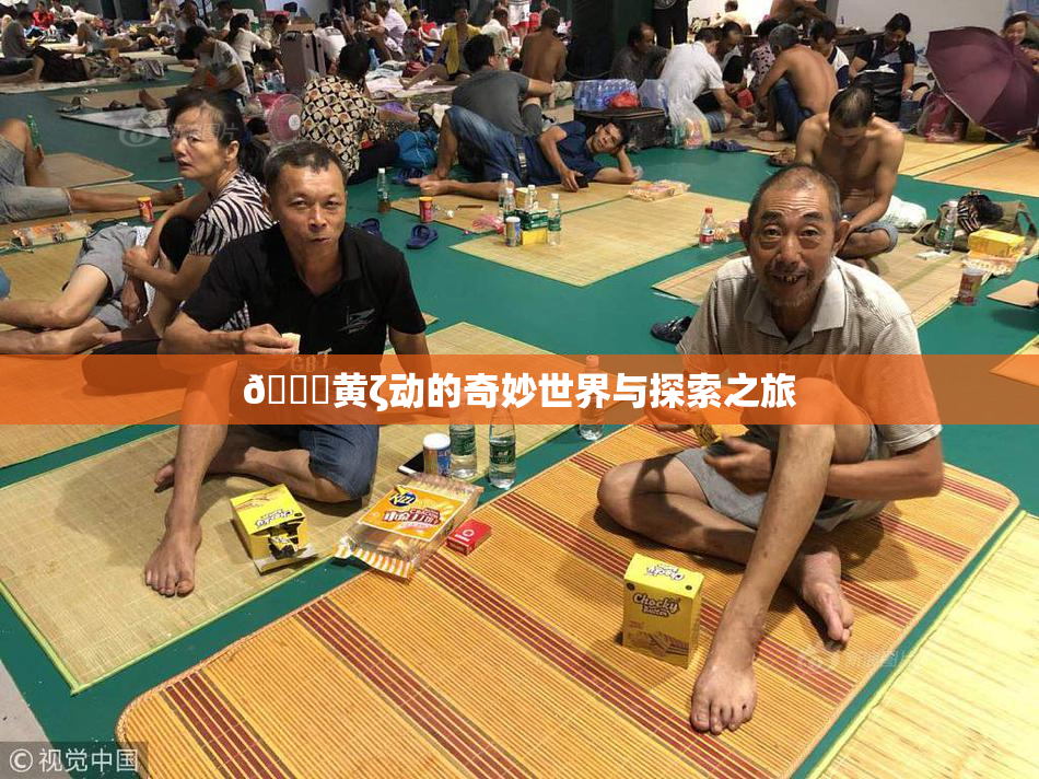 🔞黄ζ动的奇妙世界与探索之旅