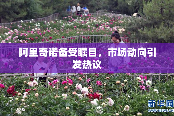 阿里奇诺备受瞩目，市场动向引发热议