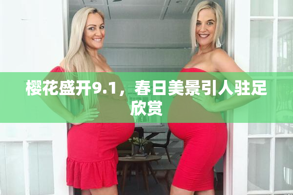 樱花盛开9.1，春日美景引人驻足欣赏