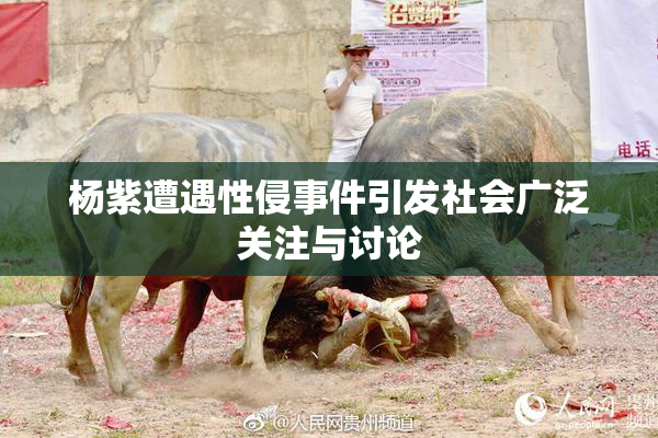 杨紫遭遇性侵事件引发社会广泛关注与讨论