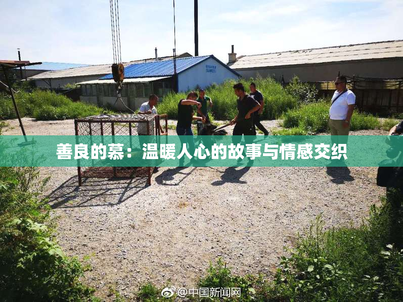 善良的慕：温暖人心的故事与情感交织