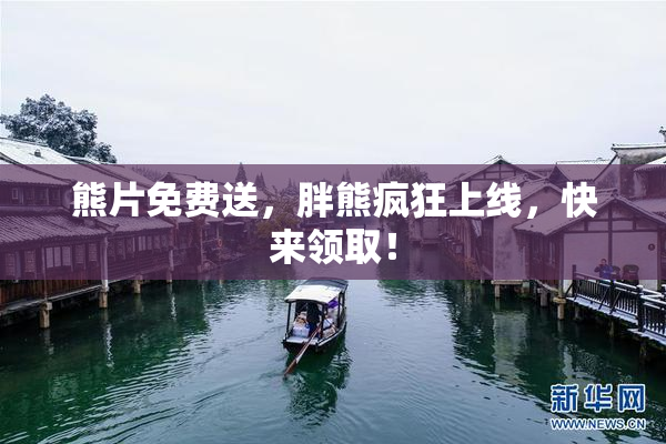 熊片免费送，胖熊疯狂上线，快来领取！