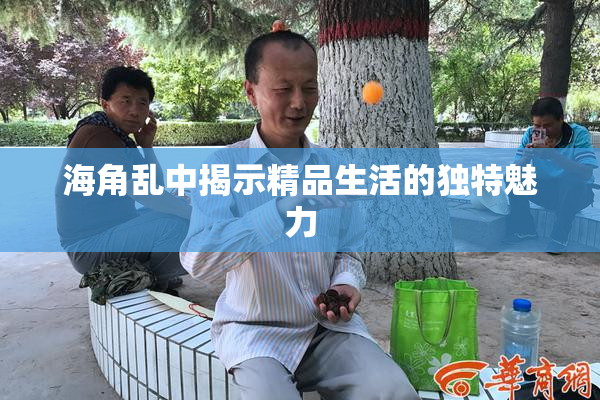 海角乱中揭示精品生活的独特魅力