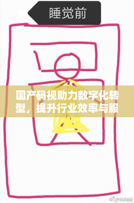 国产码视助力数字化转型，提升行业效率与服务