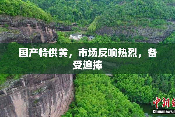 国产特供黄，市场反响热烈，备受追捧
