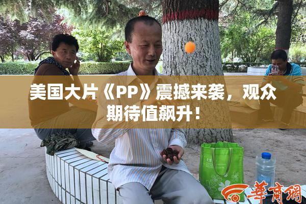 美国大片《PP》震撼来袭，观众期待值飙升！