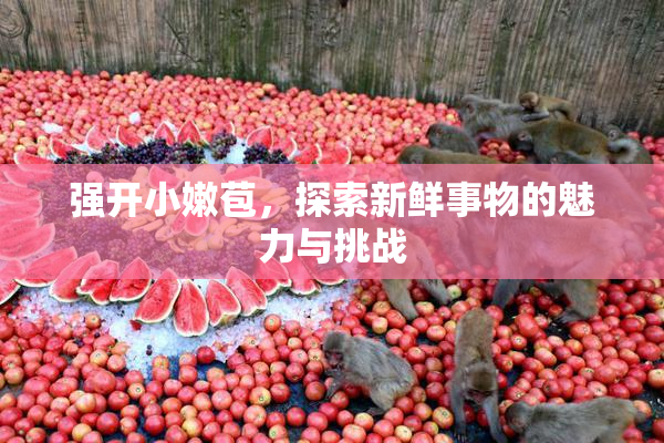 强开小嫩苞，探索新鲜事物的魅力与挑战