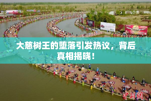 大慈树王的堕落引发热议，背后真相揭晓！