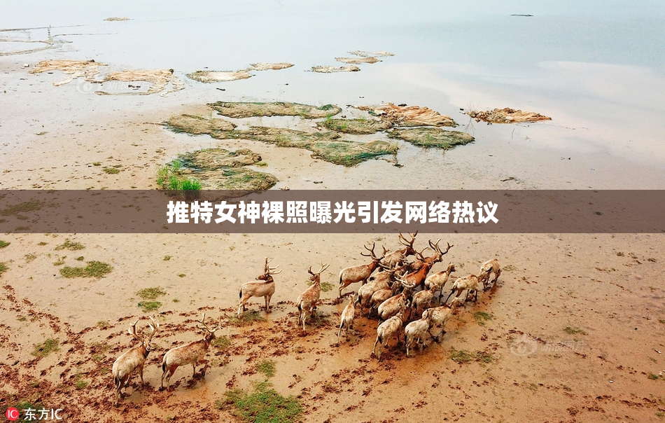 推特女神裸照曝光引发网络热议
