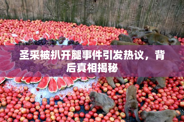 圣采被扒开腿事件引发热议，背后真相揭秘