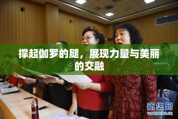 撑起伽罗的腿，展现力量与美丽的交融