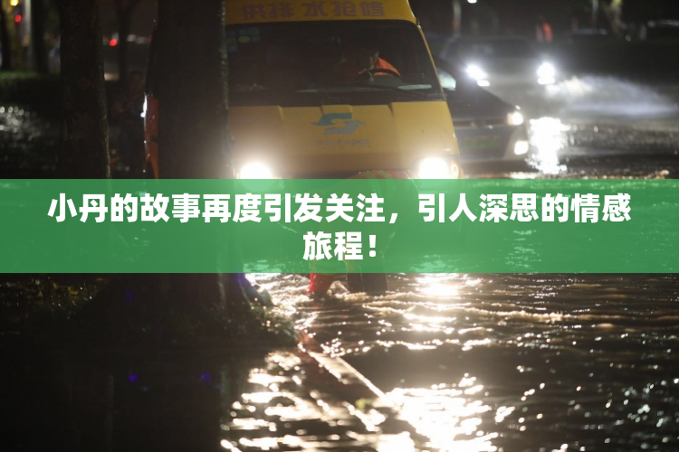 小丹的故事再度引发关注，引人深思的情感旅程！