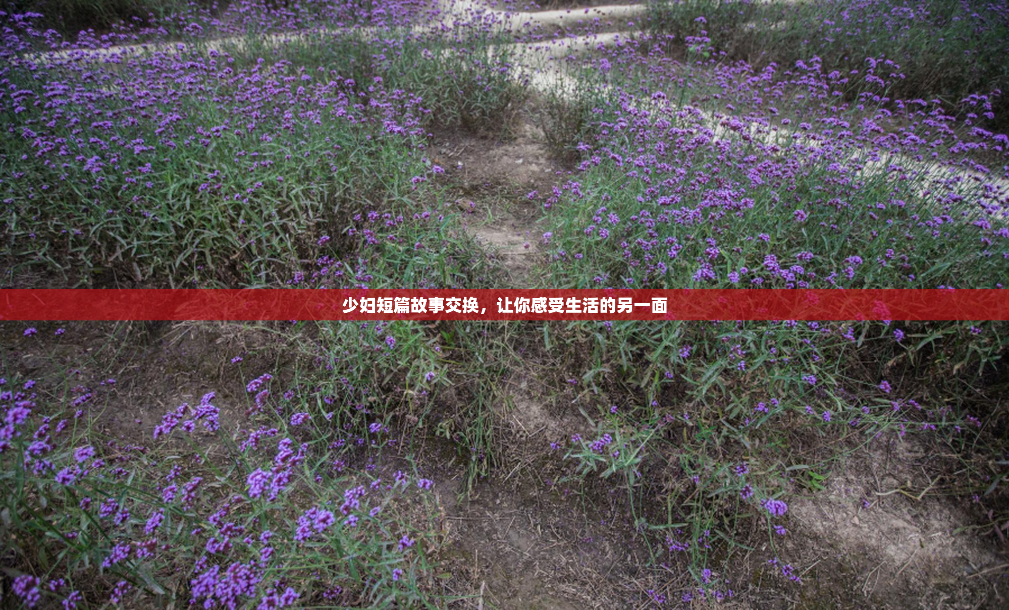 少妇短篇故事交换，让你感受生活的另一面