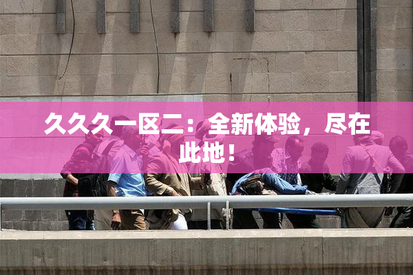 久久久一区二：全新体验，尽在此地！