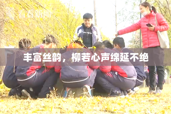 丰富丝韵，柳若心声绵延不绝