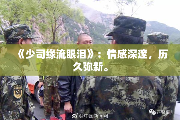 《少司缘流眼泪》：情感深邃，历久弥新。