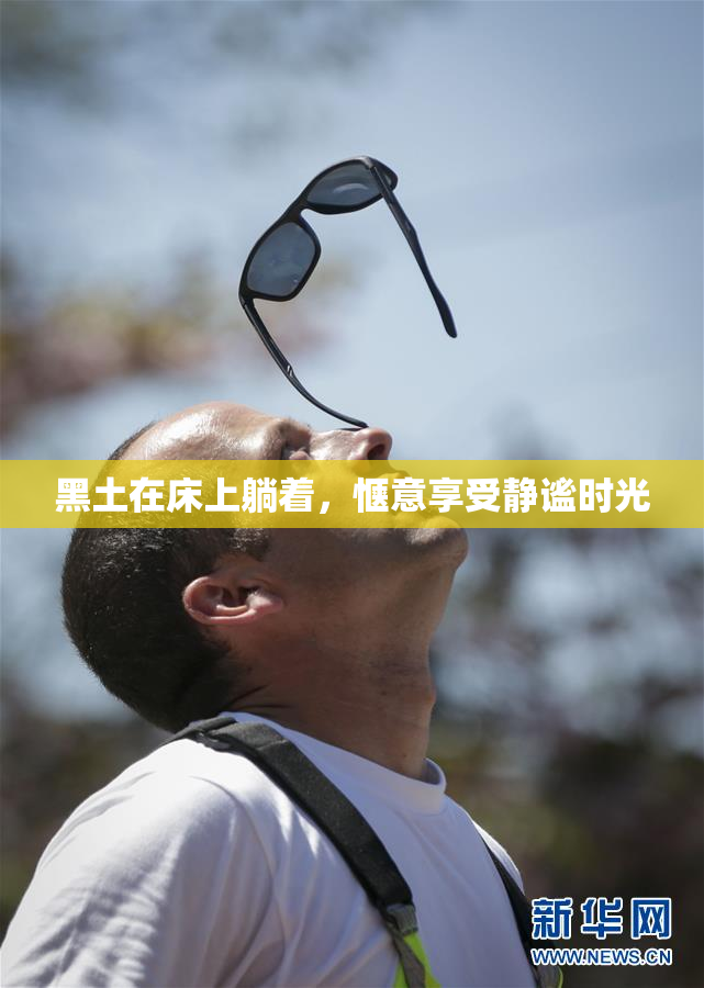 黑土在床上躺着，惬意享受静谧时光