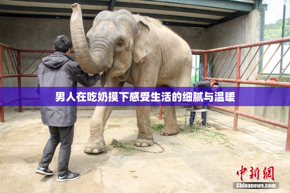 男人在吃奶摸下感受生活的细腻与温暖