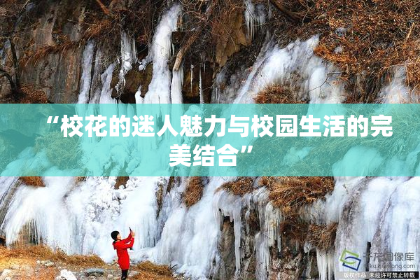 “校花的迷人魅力与校园生活的完美结合”