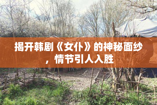 揭开韩剧《女仆》的神秘面纱，情节引人入胜
