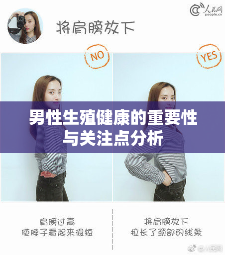 男性生殖健康的重要性与关注点分析