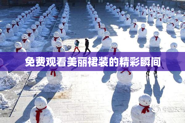 免费观看美丽裙装的精彩瞬间
