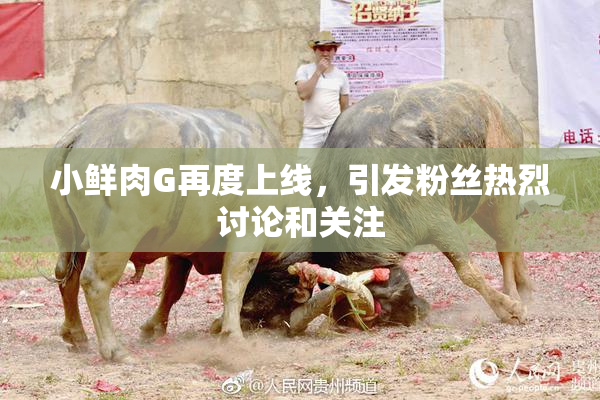 小鲜肉G再度上线，引发粉丝热烈讨论和关注