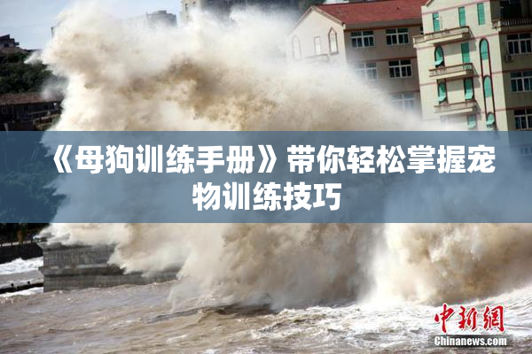 《母狗训练手册》带你轻松掌握宠物训练技巧