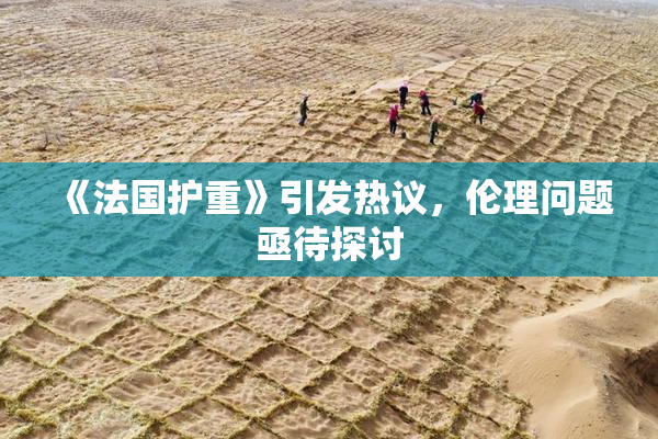 《法国护重》引发热议，伦理问题亟待探讨
