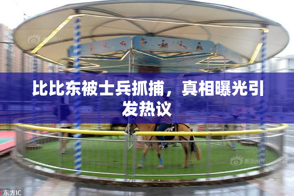 比比东被士兵抓捕，真相曝光引发热议