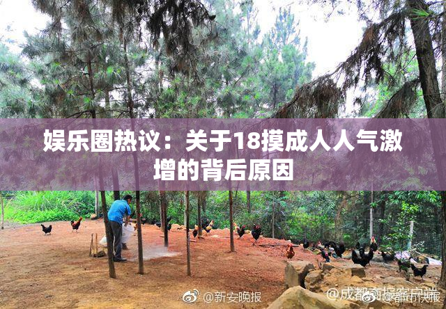娱乐圈热议：关于18摸成人人气激增的背后原因