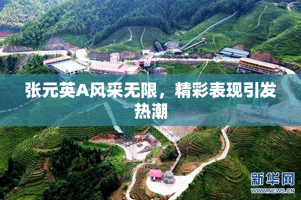 张元英A风采无限，精彩表现引发热潮